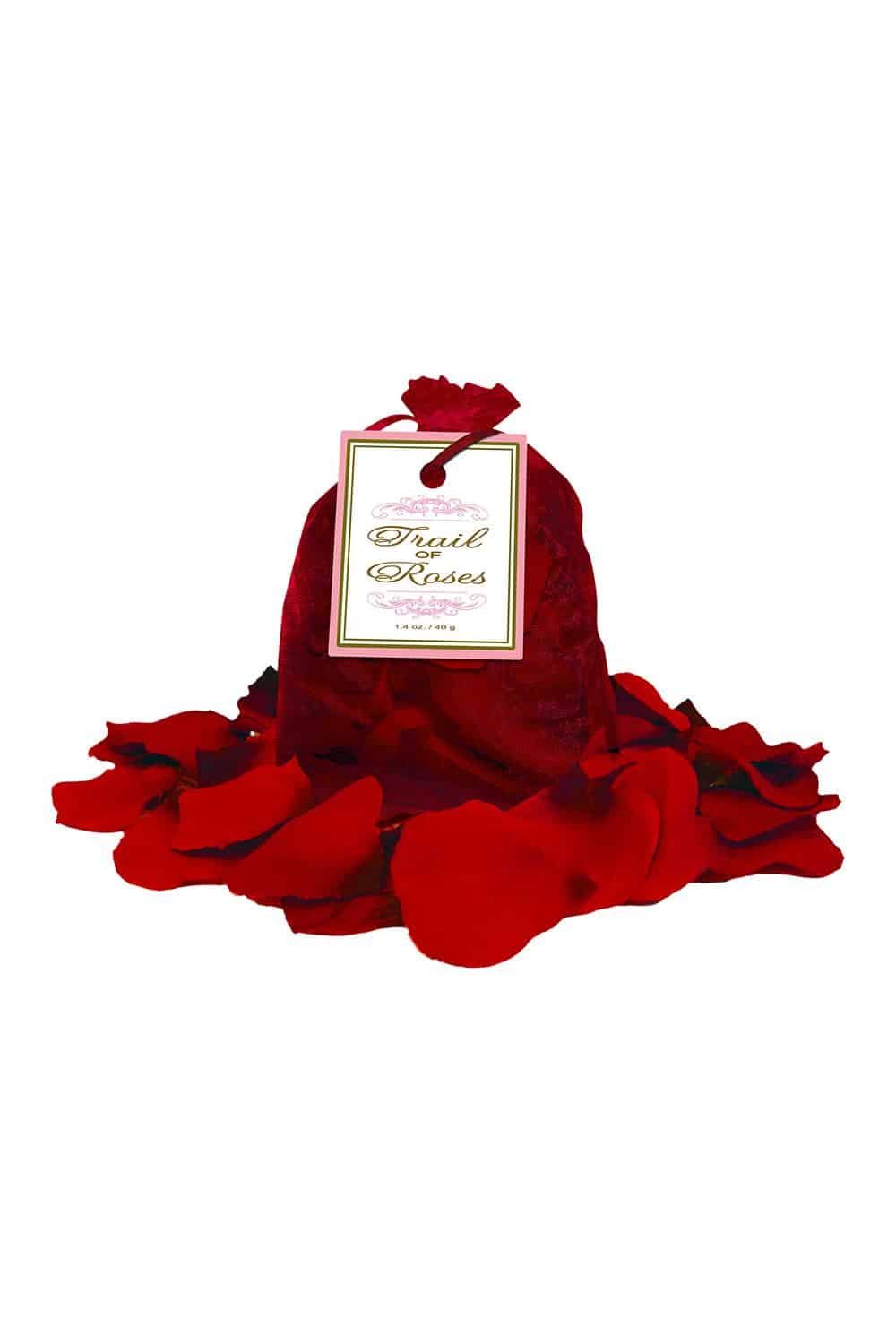 Trail of Roses - Zijden Rozenblaadjes